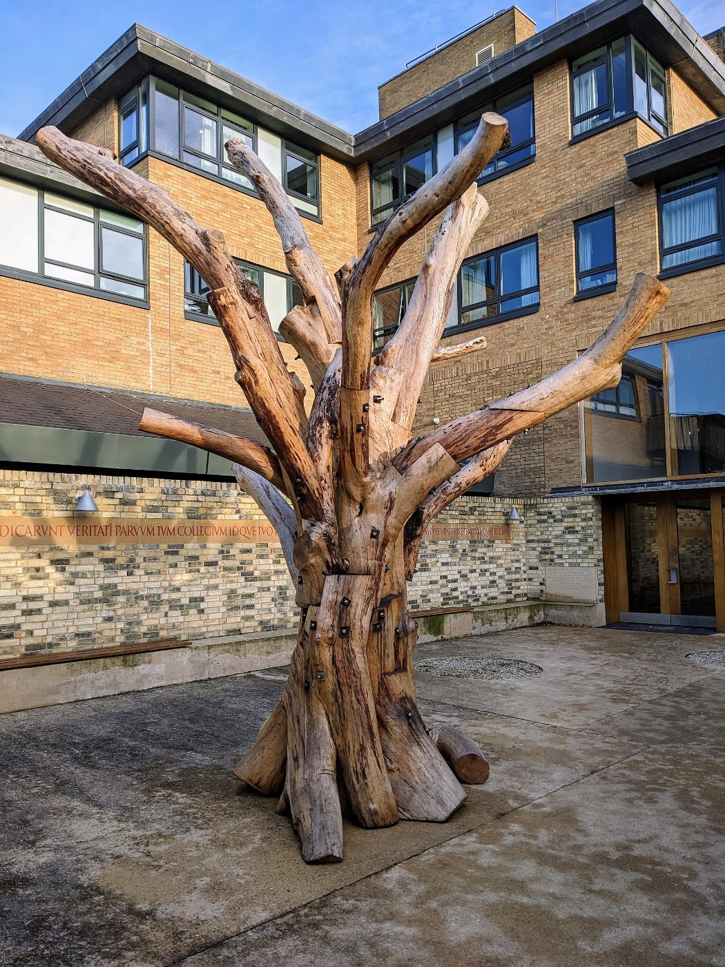 Ai Weiwei, Tree, Downing College, Cambridge